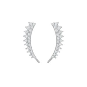 Brinco de asas cravejadas